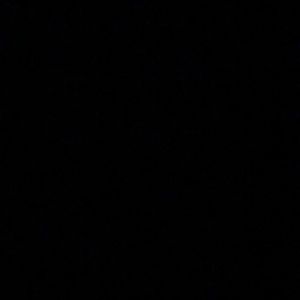 Meet your Posher, Carmen